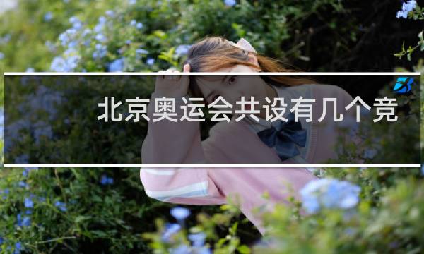 北京奥运会共设有几个竞赛呢图片