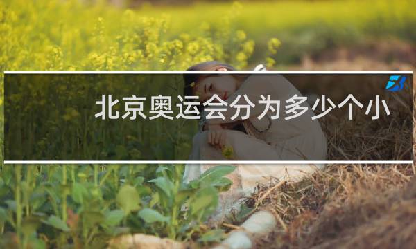 北京奥运会分为多少个小项图片