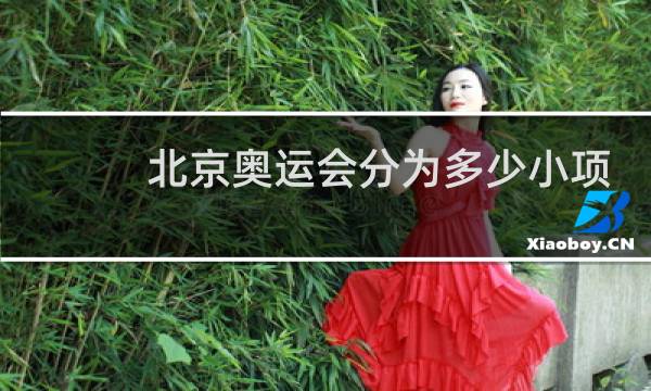 北京奥运会分为多少小项图片