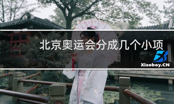 北京奥运会分成几个小项图片