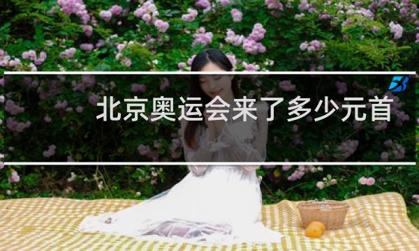 北京奥运会来了多少元首图片
