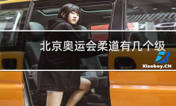 北京奥运会柔道有几个级别图片