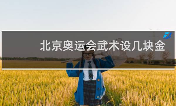 北京奥运会武术设几块金牌图片