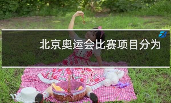 北京奥运会比赛项目分为几个大类图片