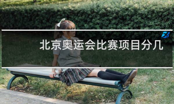 北京奥运会比赛项目分几大项图片