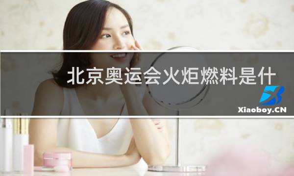 北京奥运会火炬燃料是什么图片