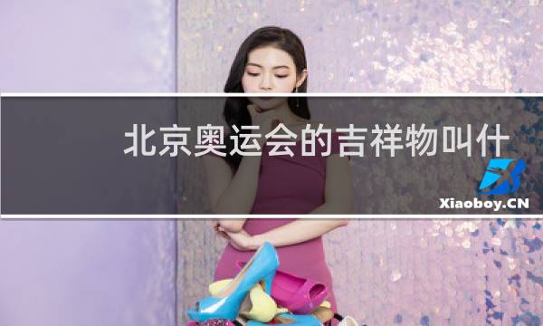 北京奥运会的吉祥物叫什么名字图片