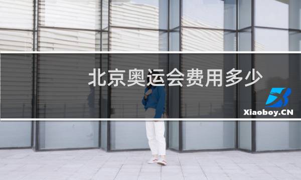 北京奥运会费用多少图片