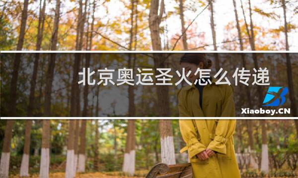 北京奥运圣火怎么传递图片