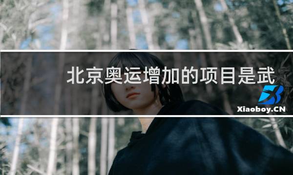 北京奥运增加的项目是武术吗图片