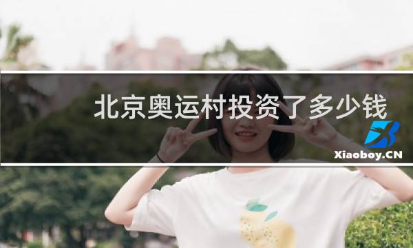 北京奥运村投资了多少钱图片