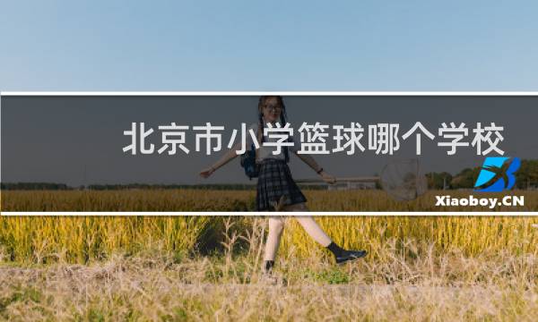 北京市小学篮球哪个学校最强图片