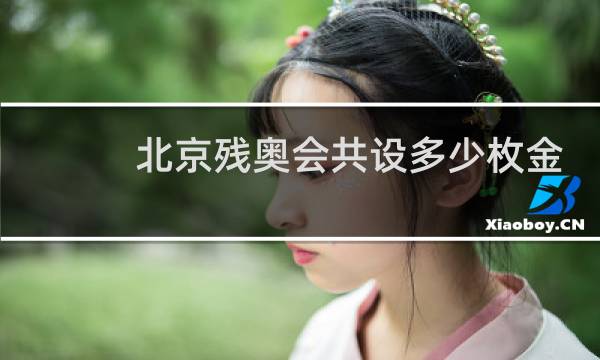 北京残奥会共设多少枚金牌图片