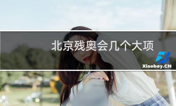 北京残奥会几个大项图片