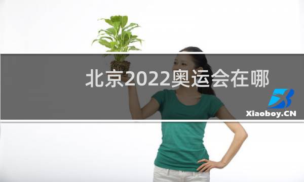 北京2022奥运会在哪买票图片
