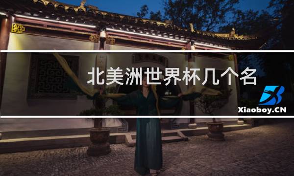 北美洲世界杯几个名图片