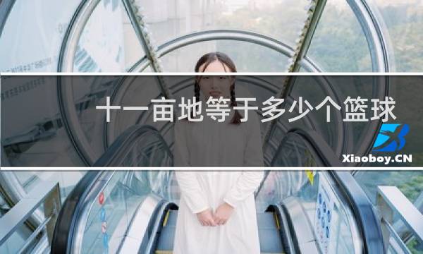 十一亩地等于多少个篮球场图片