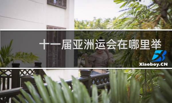 十一届亚洲运会在哪里举办图片