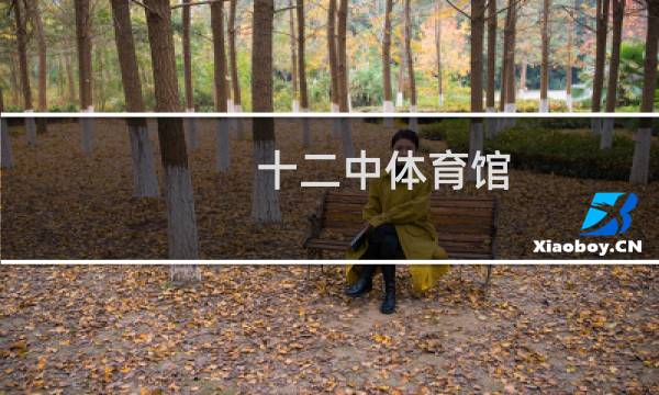 十二中体育馆(篮球羽毛球)怎么样图片