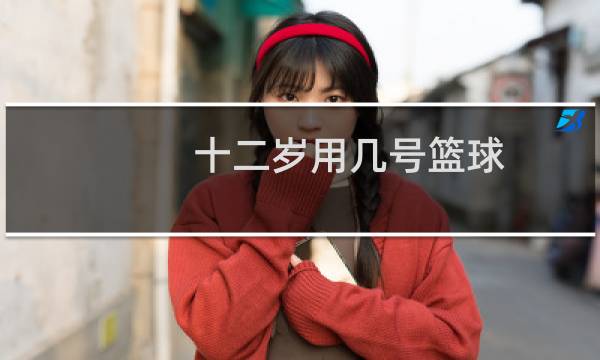 十二岁用几号篮球图片