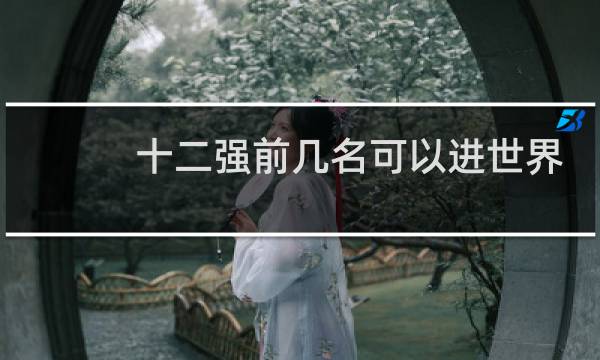 十二强前几名可以进世界杯图片