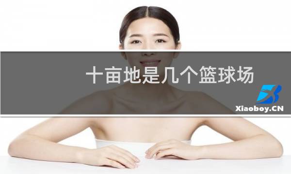 十亩地是几个篮球场图片