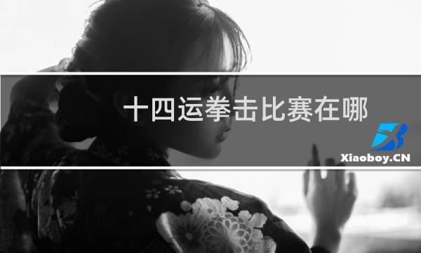 十四运拳击比赛在哪图片