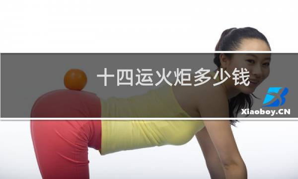 十四运火炬多少钱图片