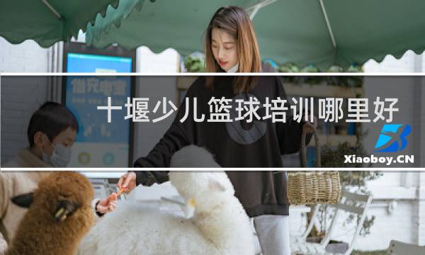 十堰少儿篮球培训哪里好图片