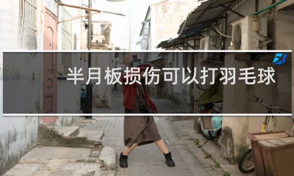 半月板损伤可以打羽毛球吗图片