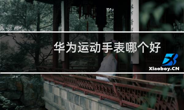 华为运动手表哪个好图片