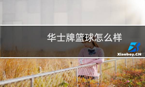 华士牌篮球怎么样图片