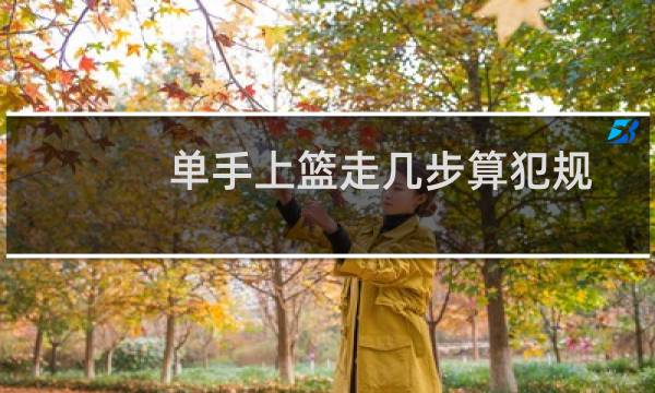 单手上篮走几步算犯规图片