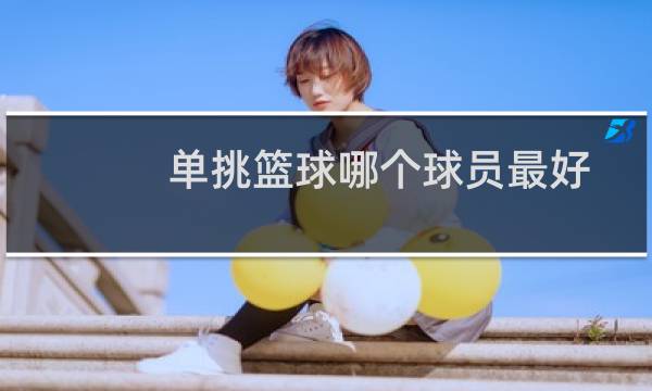 单挑篮球哪个球员最好图片