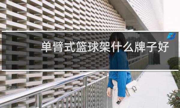 单臂式篮球架什么牌子好图片