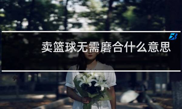卖篮球无需磨合什么意思图片