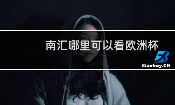 南汇哪里可以看欧洲杯图片