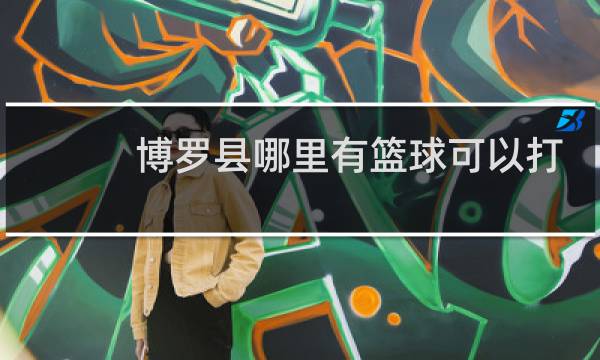 博罗县哪里有篮球可以打图片