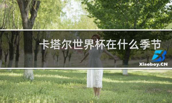 卡塔尔世界杯在什么季节举办图片