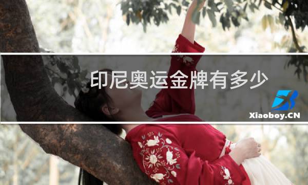 印尼奥运金牌有多少图片