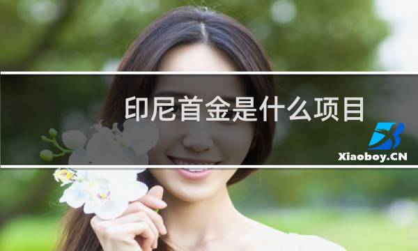 印尼首金是什么项目图片