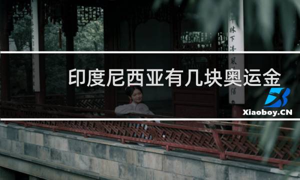 印度尼西亚有几块奥运金牌图片