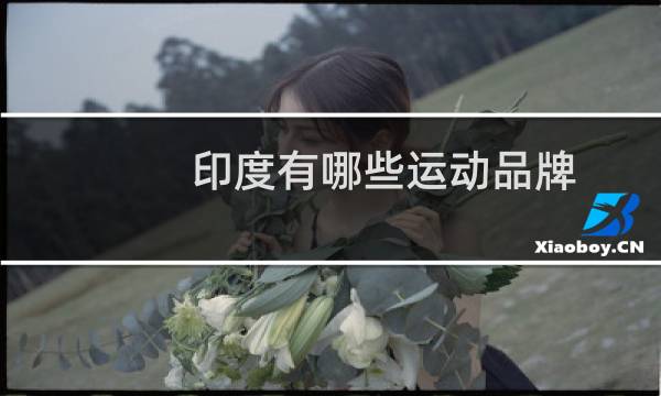 印度有哪些运动品牌图片