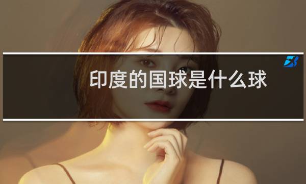 印度的国球是什么球图片