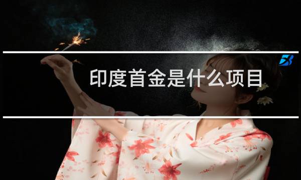 印度首金是什么项目图片