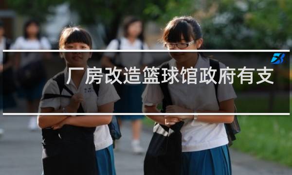 厂房改造篮球馆政府有支持吗图片