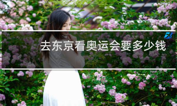 去东京看奥运会要多少钱图片