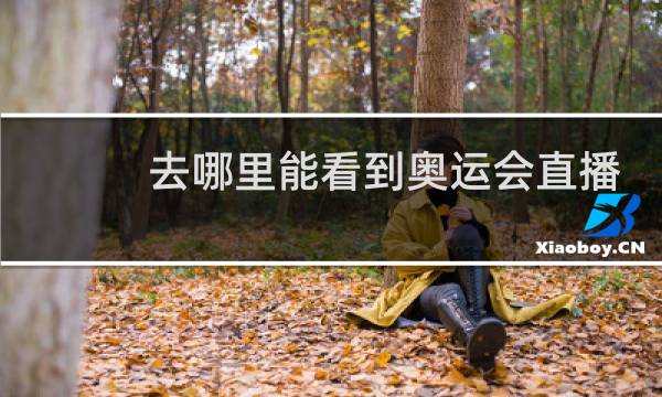 去哪里能看到奥运会直播图片