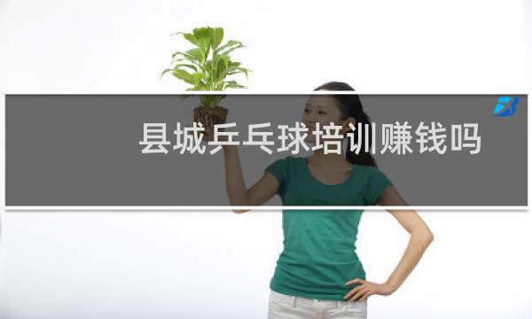 县城乒乓球培训赚钱吗图片
