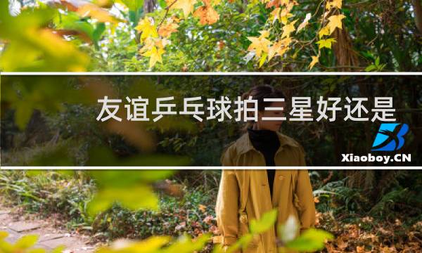 友谊乒乓球拍三星好还是四星好图片
